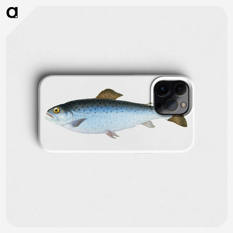 1-6_The-Natural-History-of-British-Fishes_phone