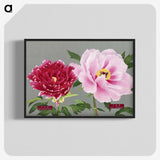 1-6_The-Picture-Book-of-Peonies_blk-crop