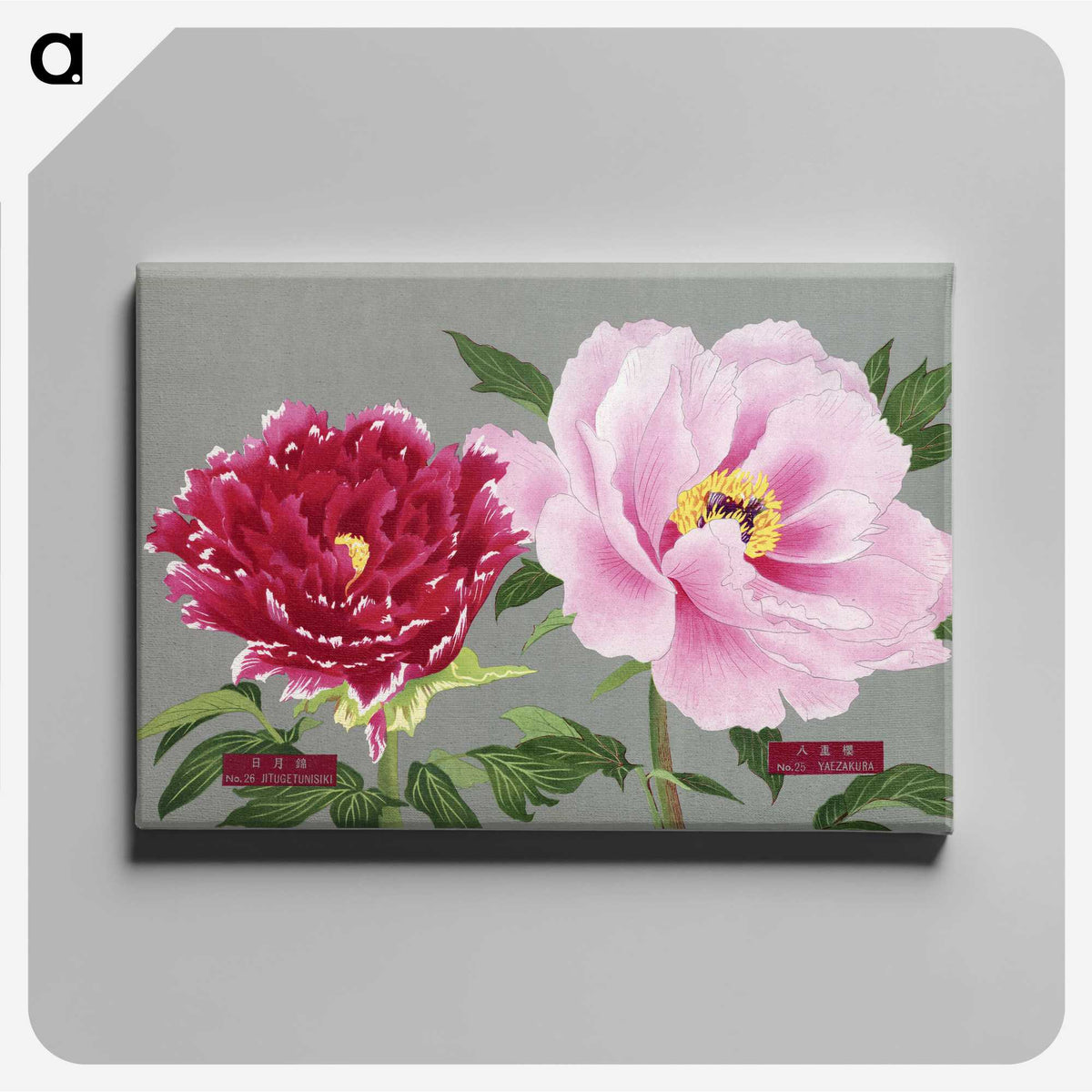 1-6_The-Picture-Book-of-Peonies_canvas