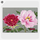 1-6_The-Picture-Book-of-Peonies_picture-crop