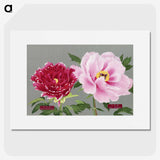 1-6_The-Picture-Book-of-Peonies_picture