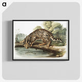 1-6_The-Viviparous-Quadrupeds_blk-crop