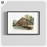 1-6_The-Viviparous-Quadrupeds_blk