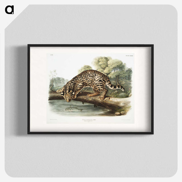 1-6_The-Viviparous-Quadrupeds_blk