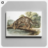 1-6_The-Viviparous-Quadrupeds_canvas