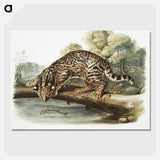 1-6_The-Viviparous-Quadrupeds_picture-crop