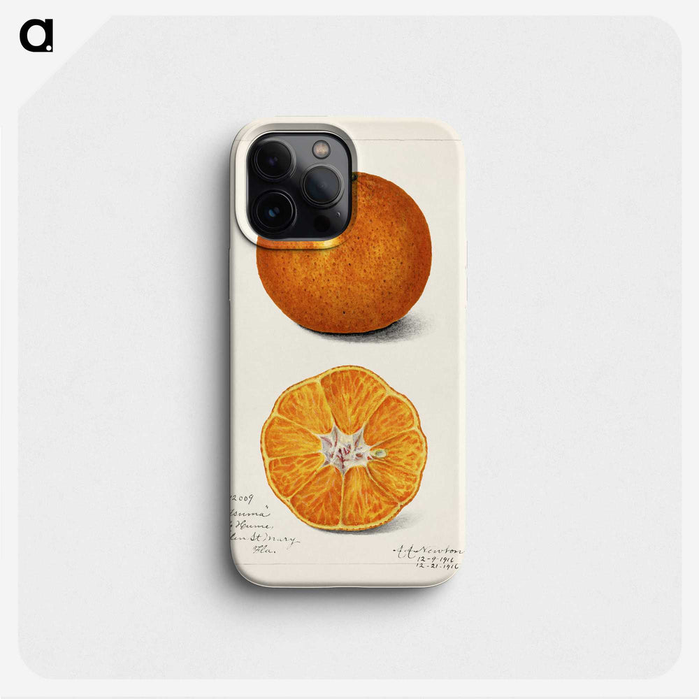 1-6_USDA-Watercolor-Fruit-Painting-Collection_phone