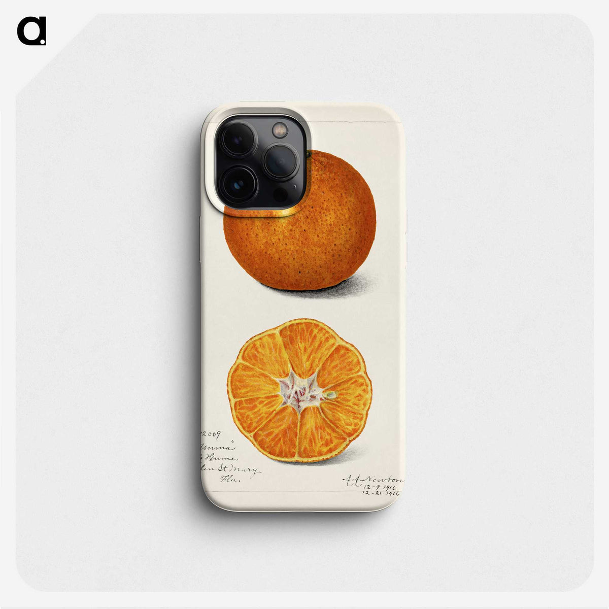 1-6_USDA-Watercolor-Fruit-Painting-Collection_phone