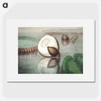 1-6_Victoria-Regia_picture