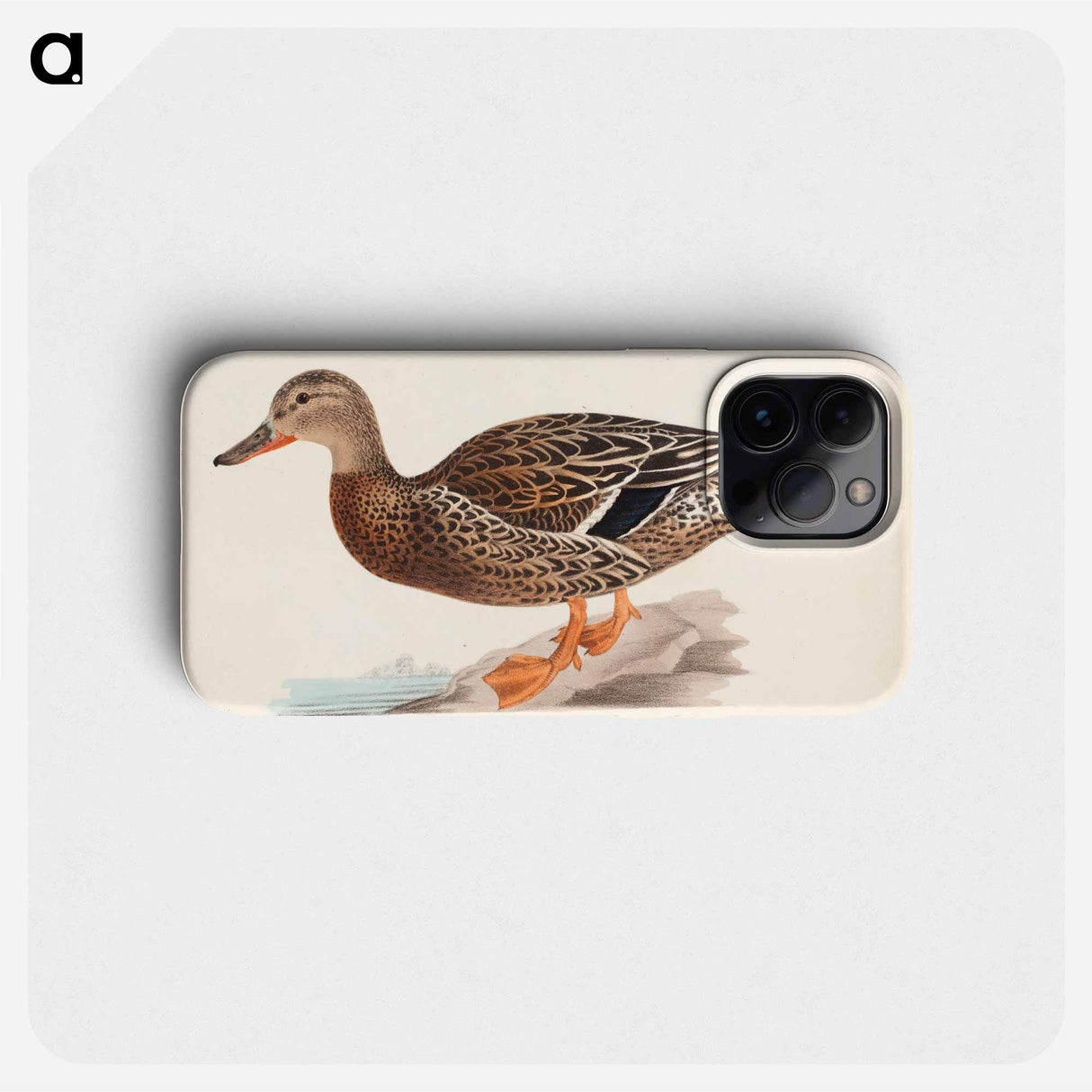 Female mallard - Wilhelm von Wright Phone Case.