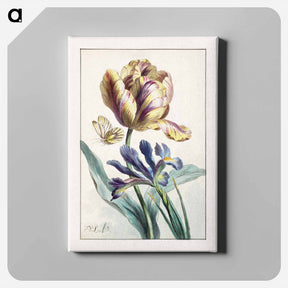 アートパネル-Portrait of Willem van Leen - ウィレム ヴァン リーン Canvas.