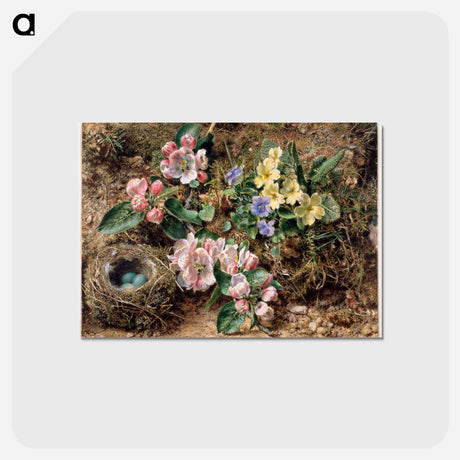 アートポストカード-Original public domain image from Birmingham Museum and Art Gallery - ウィリアム ヘンリー ハント Postcard.