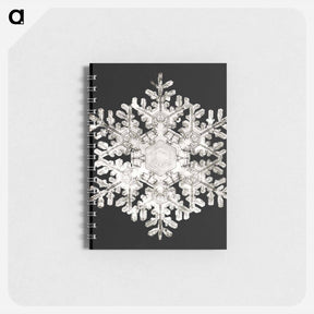 アートメモ帳-Photomicrograph of Stellar Snowflake No. 586 - ウィルソン ベントレー Memo.