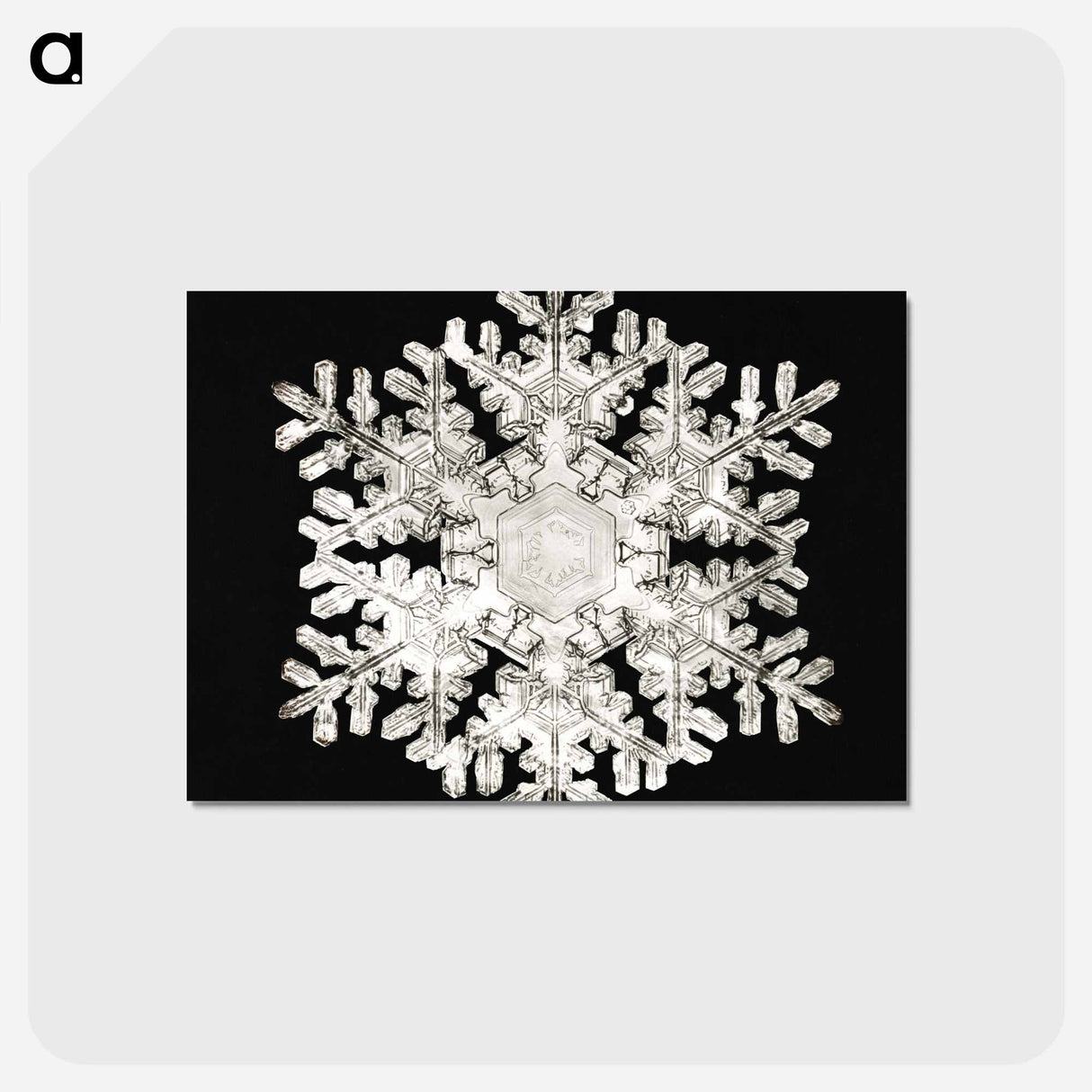 アートポストカード-Photomicrograph of Stellar Snowflake No. 586 - ウィルソン ベントレー Postcard.