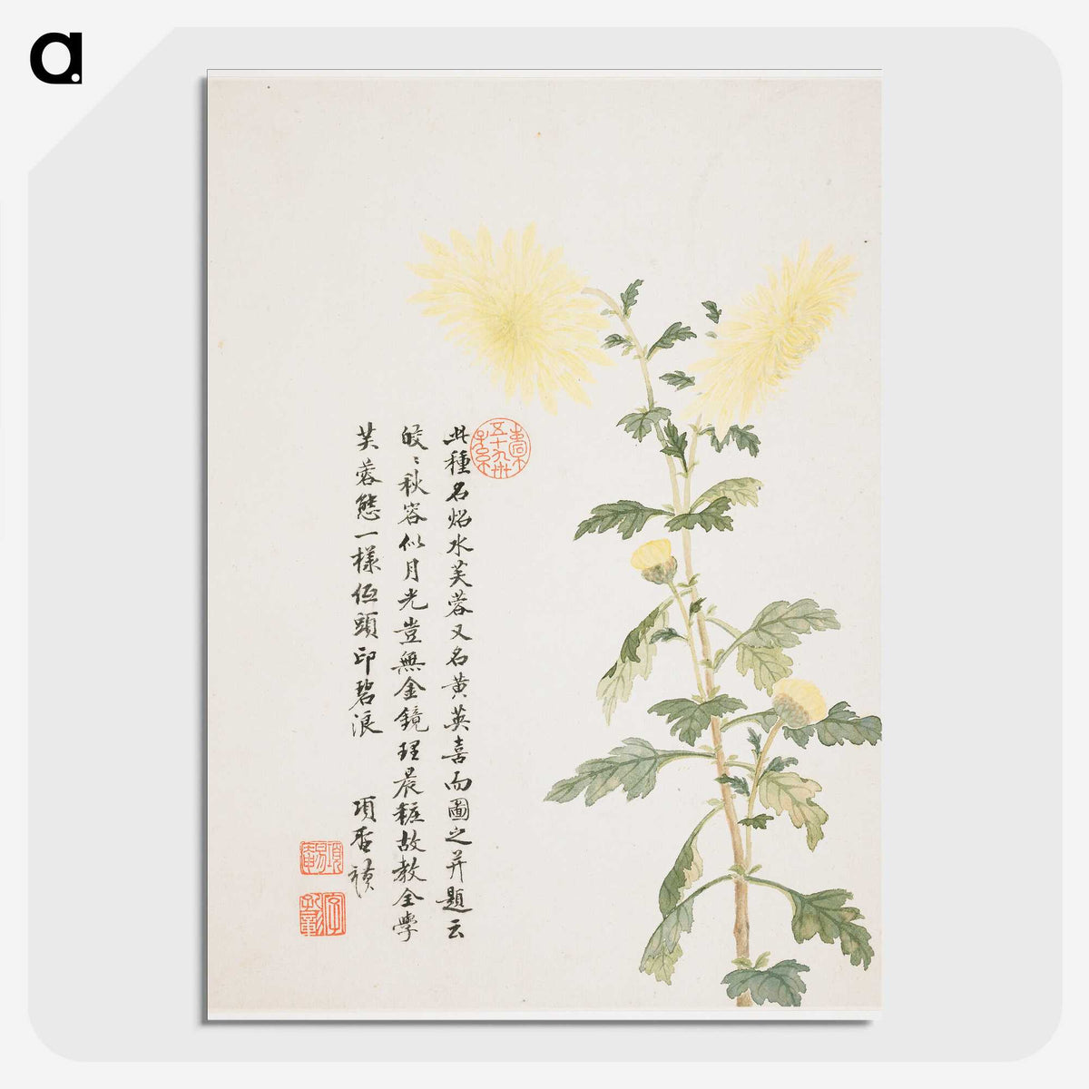 1-6_Xiang-Shengmo_picture-crop