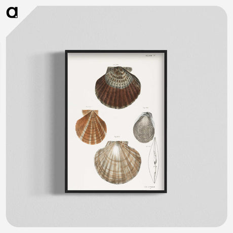 1-6_Zoology-of-New-York_blk-crop