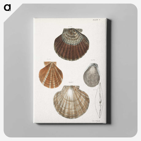 1-6_Zoology-of-New-York_canvas