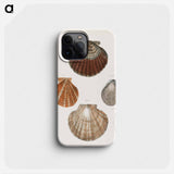 Different types of seashells illustration from Zoology of New York by James Ellsworth De Kay - ニューヨークの動物学 Phone Case.