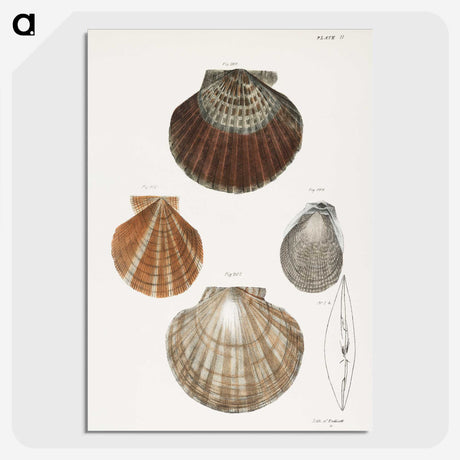 1-6_Zoology-of-New-York_picture-crop