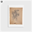 アートポストカード-Study after Dürer: Saint Christopher I - アルブレヒト デューラー Postcard.