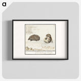 1-70_Anselmus-Boetius-de-Boodt_blk