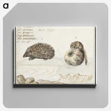 1-70_Anselmus-Boetius-de-Boodt_canvas