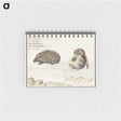1-70_Anselmus-Boetius-de-Boodt_memo