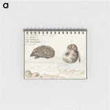 1-70_Anselmus-Boetius-de-Boodt_memo