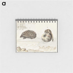 1-70_Anselmus-Boetius-de-Boodt_memo