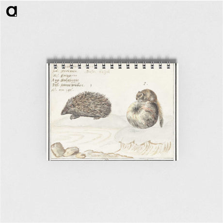 1-70_Anselmus-Boetius-de-Boodt_memo