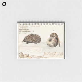 アートメモ帳-Hedgehog, Erinaceus europaeus and a Hazel dormouse, Muscardinus avellanarius - アンセルムス ボエティウス デ ブート Memo.