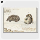 1-70_Anselmus-Boetius-de-Boodt_picture-crop