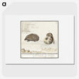 1-70_Anselmus-Boetius-de-Boodt_picture