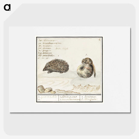 1-70_Anselmus-Boetius-de-Boodt_picture