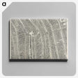 1-70_Antique-Maps_canvas