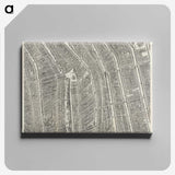 1-70_Antique-Maps_canvas