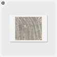 アートポストカード-Plattegrond van Amsterdam (middenblad) - アンティーク地図 Postcard.