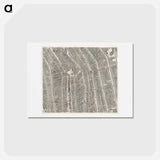 アートポストカード-Plattegrond van Amsterdam (middenblad) - アンティーク地図 Postcard.