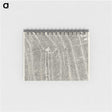1-70_Antique-Maps_memo