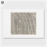 Plattegrond van Amsterdam (middenblad) - アンティーク地図 Poster.