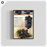 1-70_Botanical-Specimen-Plates_blk-crop