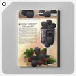 1-70_Botanical-Specimen-Plates_canvas