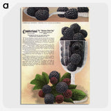 1-70_Botanical-Specimen-Plates_picture-crop