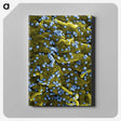 1-70_COVID-19_canvas