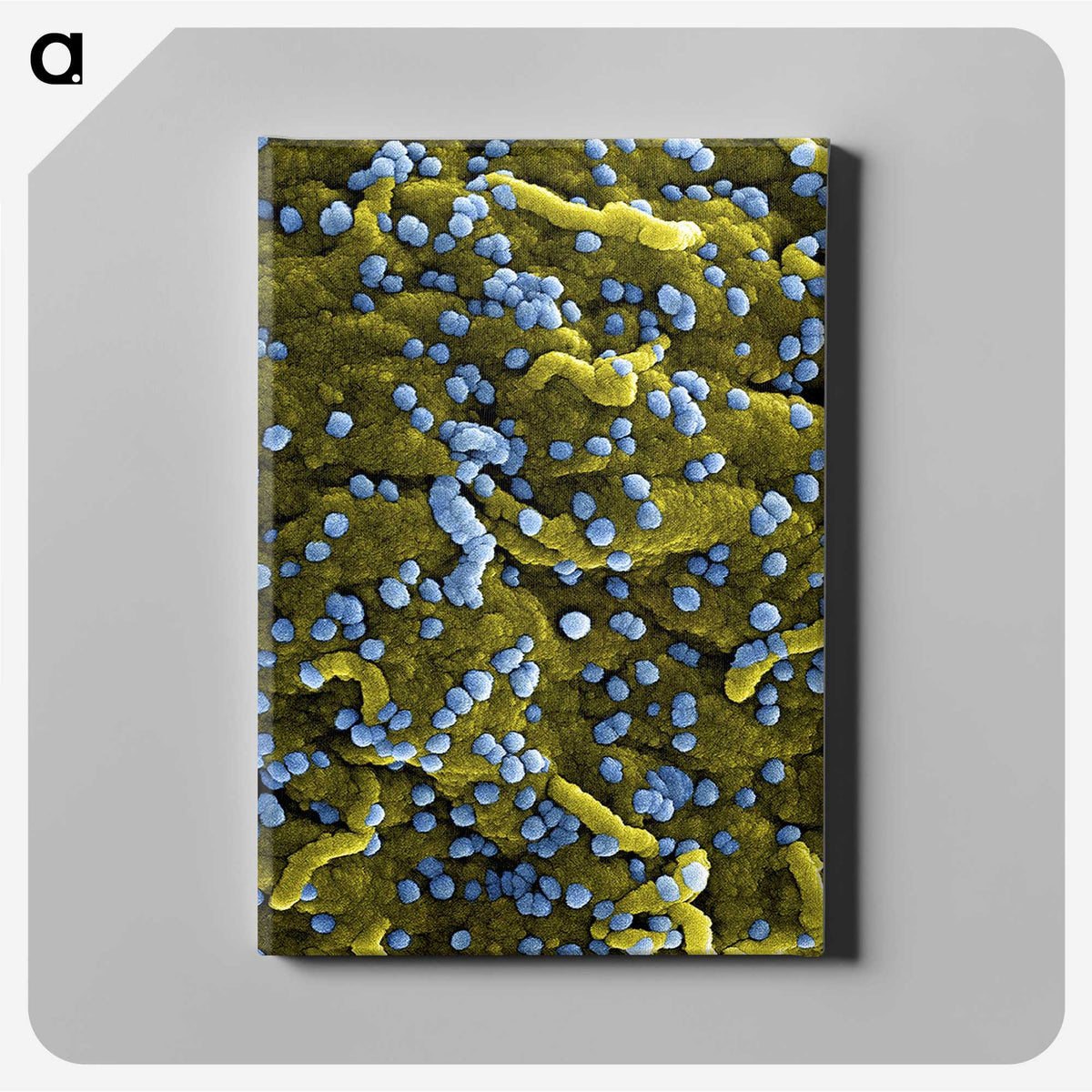 1-70_COVID-19_canvas