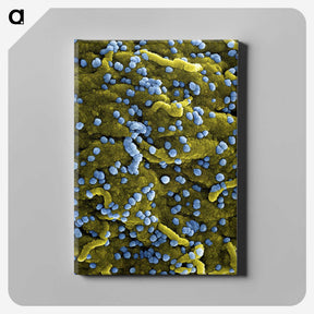 1-70_COVID-19_canvas