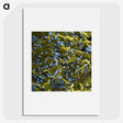 1-70_COVID-19_picture