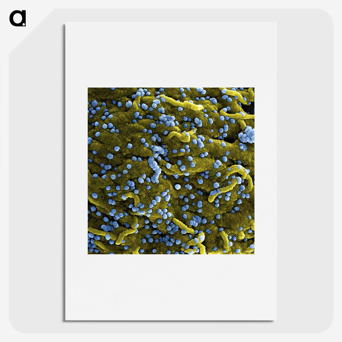 1-70_COVID-19_picture