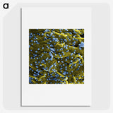 1-70_COVID-19_picture