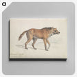 1-70_Charles-Hamilton-Smith_canvas